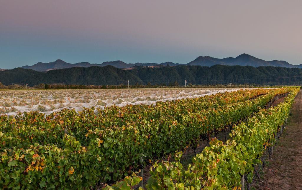 Straw Lodge Vineyard And Boutique Lodging Renwick Dış mekan fotoğraf