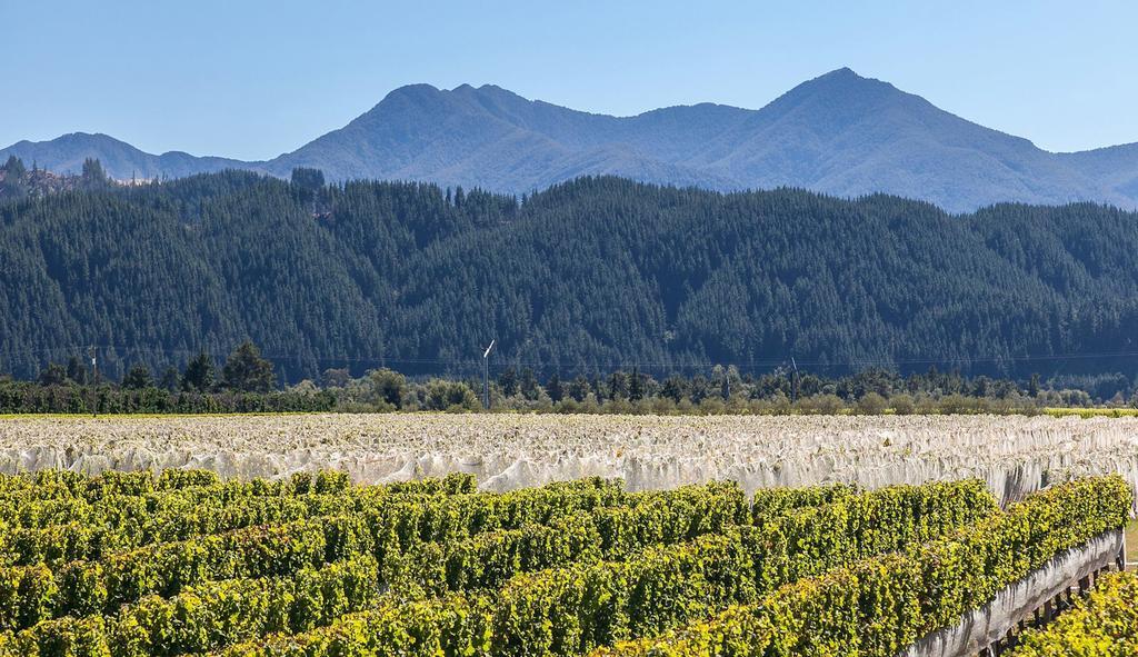 Straw Lodge Vineyard And Boutique Lodging Renwick Dış mekan fotoğraf